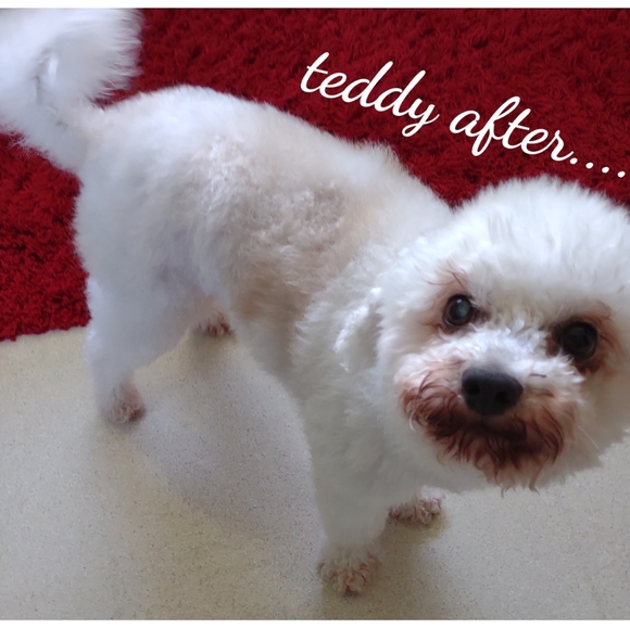 100% clean & professional environment! 😷 - Picture 3 of 5